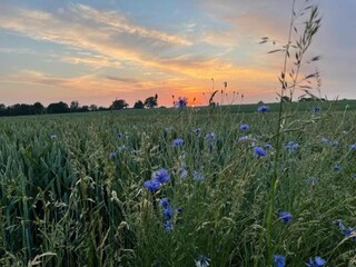 Vakantiehuis Pepelow Omgeving 18