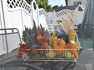 Bungalow Neubukow Außenaufnahme 10