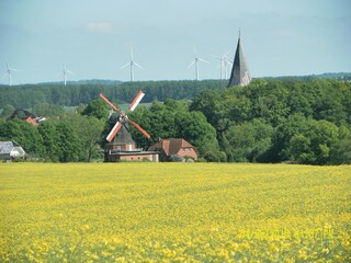Bungaló Neubukow Entorno 27