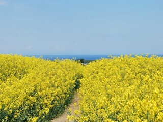 Bungalow Neubukow Umgebung 29