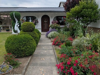 Bungalow Neubukow Outdoor Recording 2