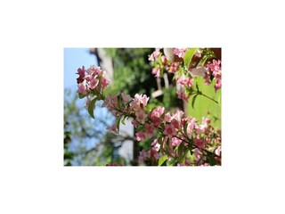 Appartamento Nieblum Registrazione all'aperto 1