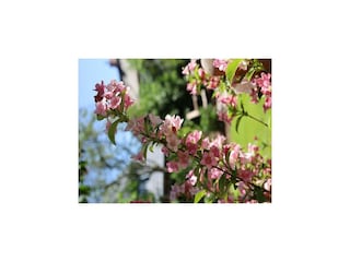 Appartement Nieblum Enregistrement extérieur 2