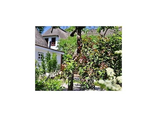 Apartment Nieblum Außenaufnahme 5