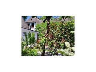 Vakantiehuis Nieblum Buitenaudio-opname 3