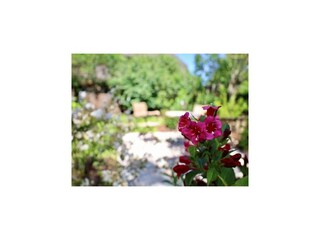 Vakantiehuis Nieblum Buitenaudio-opname 6