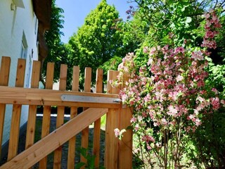 Casa per le vacanze Nieblum Caratteristiche 3