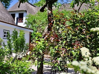 Ferienhaus Nieblum Ausstattung 9