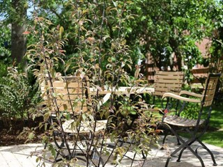 Casa per le vacanze Nieblum Caratteristiche 5