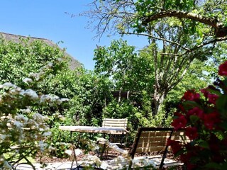 Casa per le vacanze Nieblum Caratteristiche 21