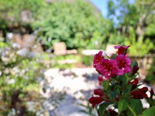 Maison de vacances Nieblum Équipement 10