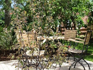 Ferienhaus Nieblum Ausstattung 19