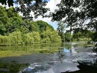 Ferienhaus Lantheuil Außenaufnahme 13