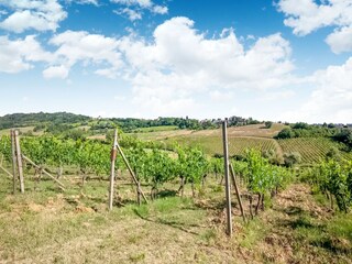 Casa de vacaciones Monsanto Entorno 37