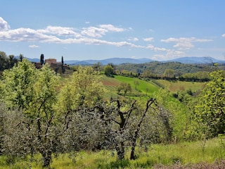 Cottage Monsanto Außenaufnahme 15
