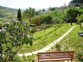 Holiday cottage Monsanto Outdoor Recording 16