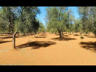 Holiday house Oria Outdoor Recording 11