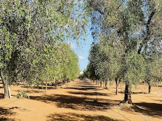 Ferienhaus Oria Umgebung 26