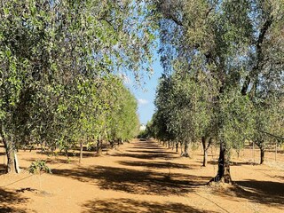 Maison de vacances Oria Environnement 26