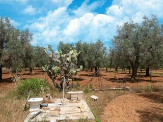 Holiday house Oria Outdoor Recording 1