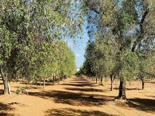 Casa de vacaciones Oria Entorno 26