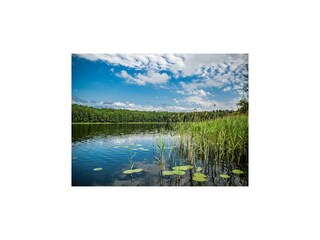 Vakantiehuis Welt  23