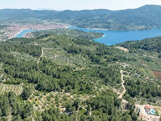 Area Vela Luka