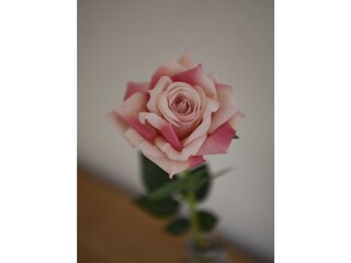 Holiday house Schwalmtal Features 15