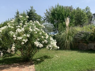 Casale Labin Registrazione all'aperto 8