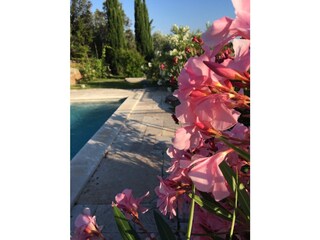 Casale Labin Registrazione all'aperto 9