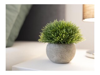 Maison de vacances Nordhorn Équipement 14