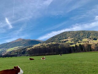 Apartamento Neukirchen am Großvenediger Entorno 25