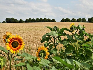 Appartamento Rakow  37