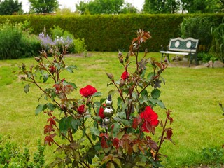 Appartamento Rakow  40