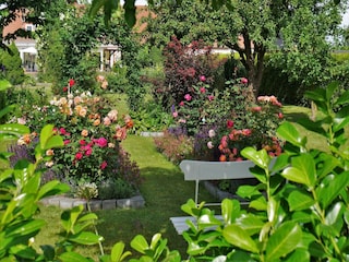 Apartment Rakow Outdoor Recording 2