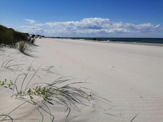 Apartment Fährdorf auf Poel Umgebung 28