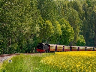 Appartamento Fährdorf auf Poel Ambiente 28