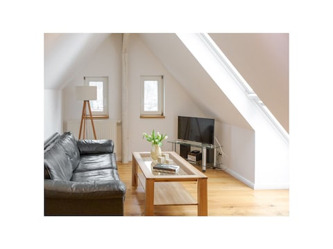 Ferienwohnung Villa Elbufer - "Robert 1867"