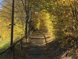 Ferienwohnung Schwarzburg Umgebung 16