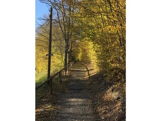 Appartamento per vacanze Schwarzburg Ambiente 9