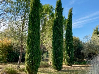 Casa per le vacanze Saint-Saturnin-lès-Apt Registrazione all'aperto 5