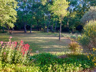 Casa per le vacanze Saint-Saturnin-lès-Apt Registrazione all'aperto 8