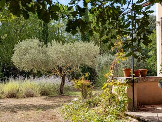 Casa per le vacanze Saint-Saturnin-lès-Apt Registrazione all'aperto 15