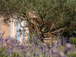 Casa per le vacanze Saint-Saturnin-lès-Apt Registrazione all'aperto 16