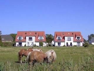 Außenansicht mit Pferdewiese