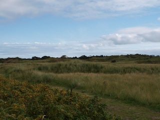 Dünen & Wanderlandschaft