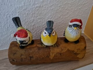 Appartamento per vacanze Wernigerode Registrazione all'aperto 28