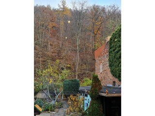 Appartamento per vacanze Wernigerode Registrazione all'aperto 41