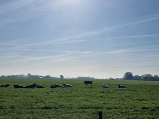 Natur in Tossens