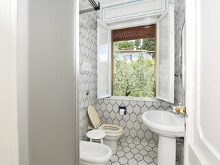 Villa San Felice del Benaco Caratteristiche 24